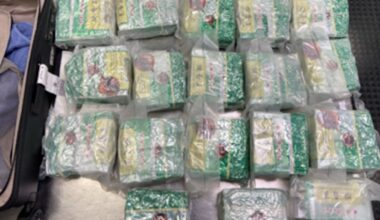 Wellington Airport drug bust: 39kg of meth found disguised as tea