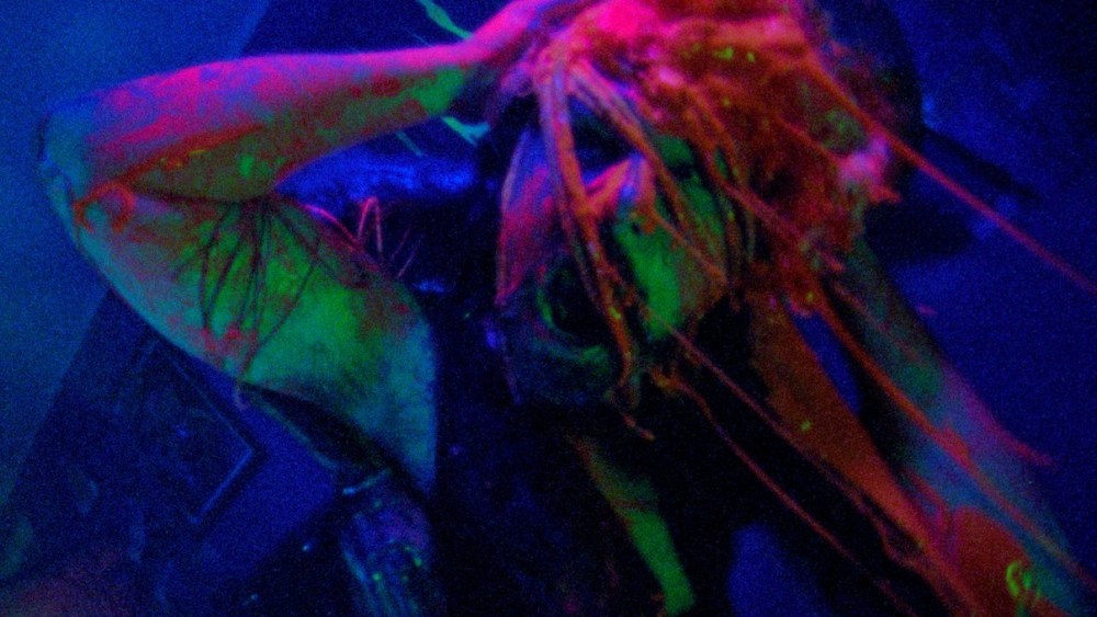 Argentine Spin-Off of Alien Horror Pic 'Jimmy and Stiggs' Set to Fly