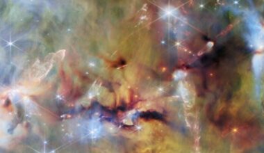 James Webb Space Telescope Looks Behind The Orion Nebula