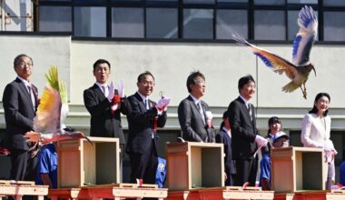Crested Ibises Get the Royal Treatment in Japan as They Fly Again