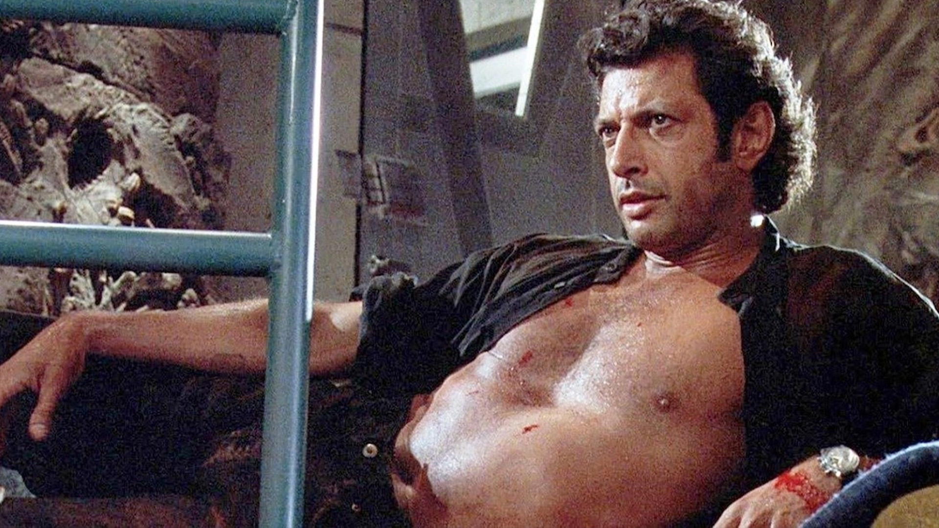Jeff Goldblum in 'Jurassic Park'