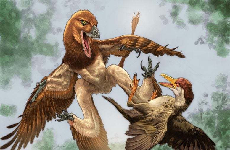 Jian changmaensis Attacks Gansus yumenensis in Ancient China