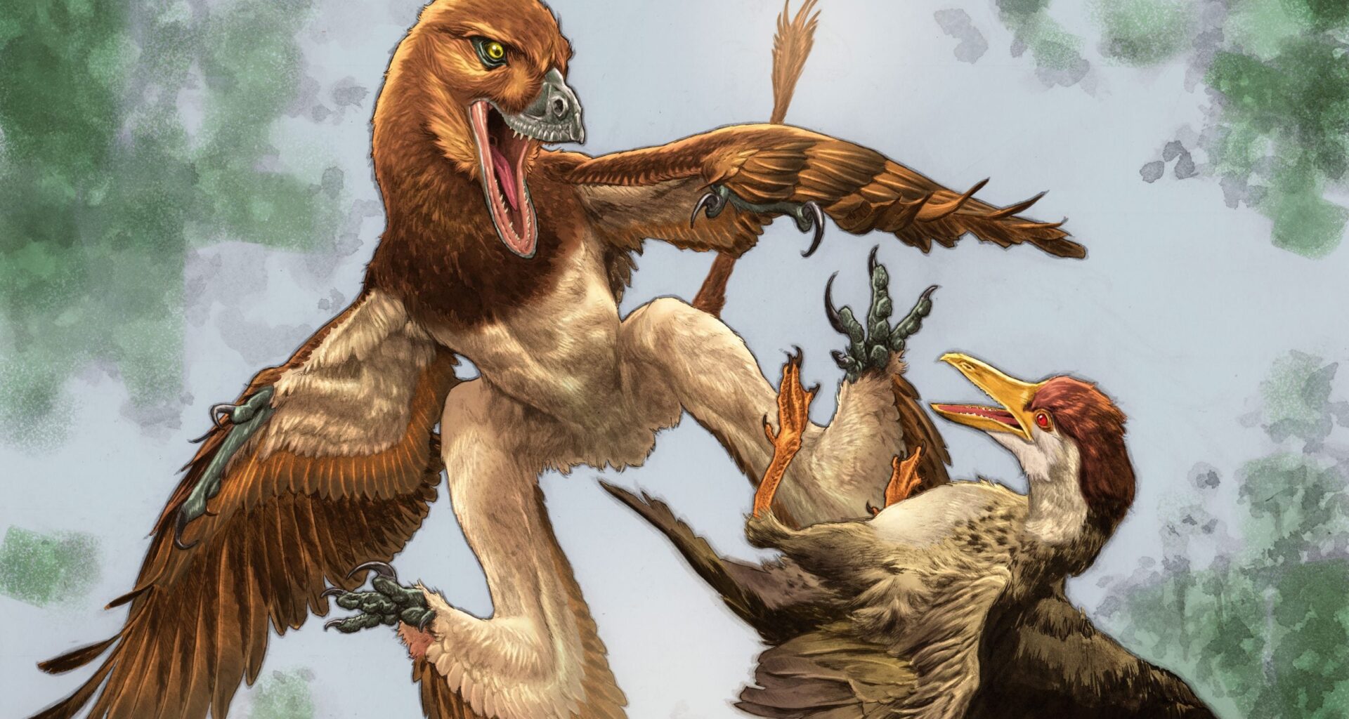 New Feathered Dinosaur May Have Solved a 120-Million-Year-Old Fossil Mystery