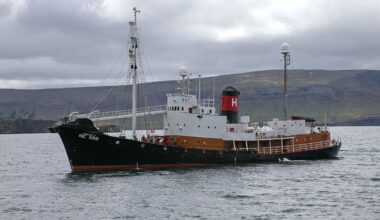 Iceland resumes whale hunting after two-year hiatus amid protest