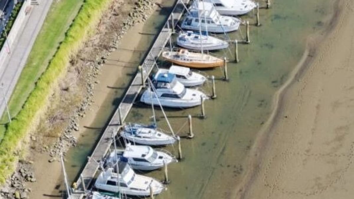 Whakatāne Harbour faces berth cuts as council ends marina dredging