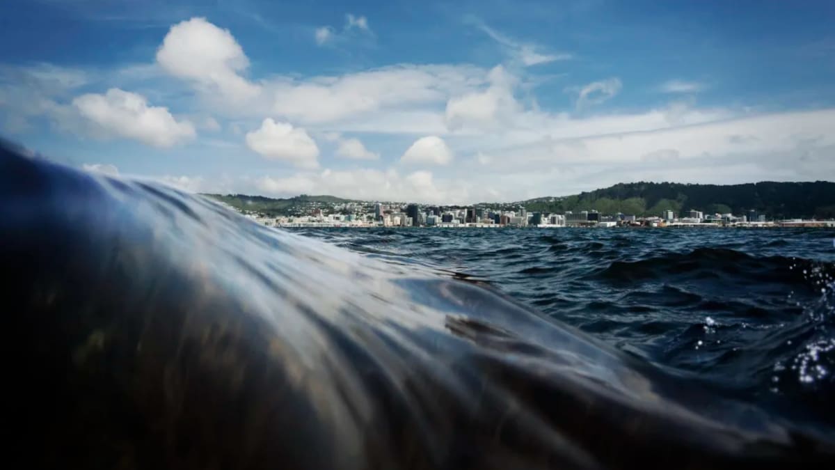 One-in-100-year coastal floods now happening twice a year in Wellington – study