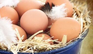 Herald morning quiz: June 14 - New Zealand News