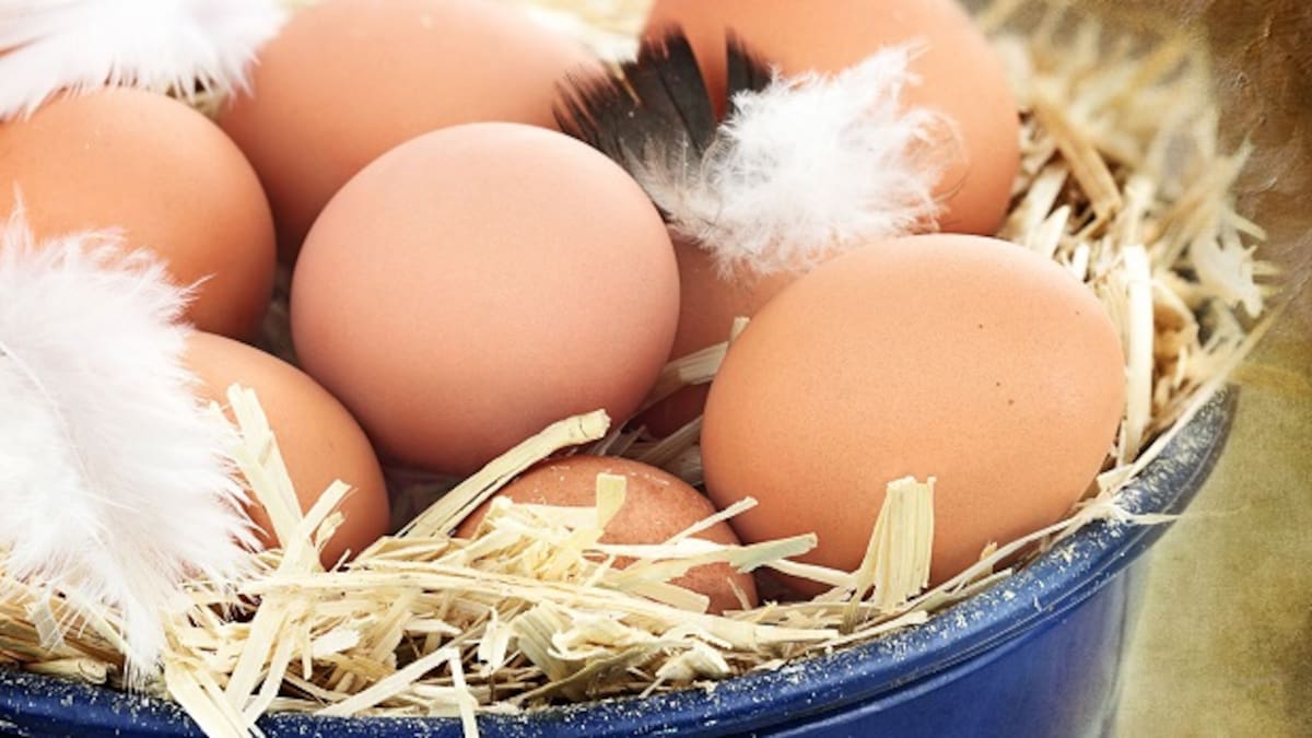 Herald morning quiz: June 14 - New Zealand News