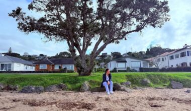 Mum denied memorial bench for son who was found dead at Auckland beach