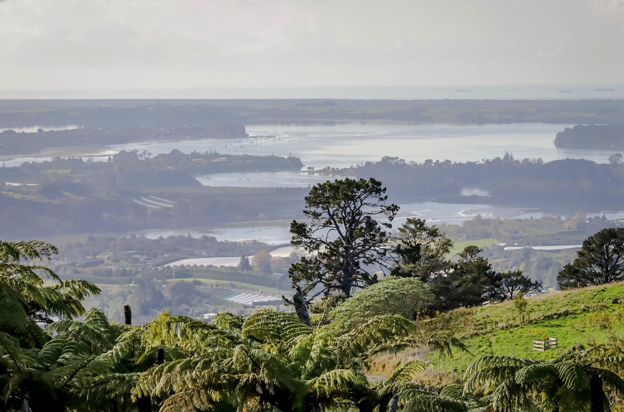  The view from John Carmichael’s cave in Te Puna.  Photo / Kelly O’Hara