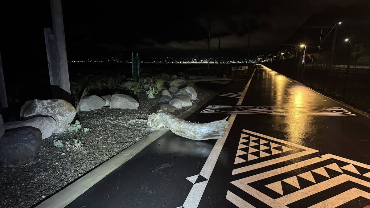 NZTA condemns cycleway vandalism after Wellington commuter crashes into rocks