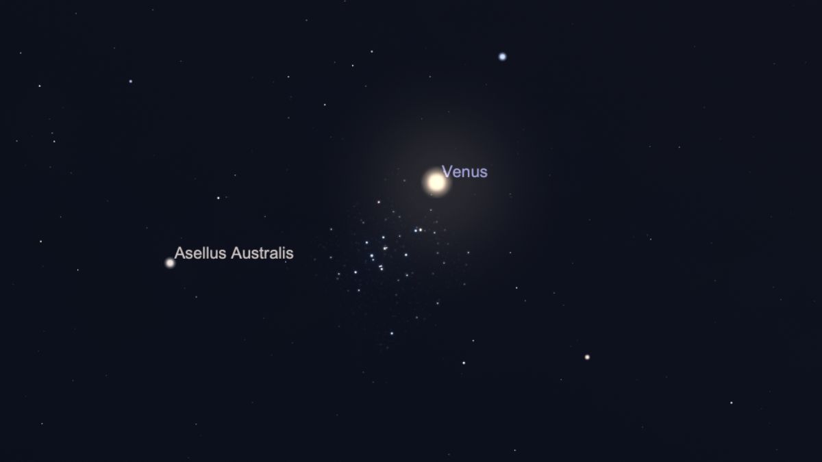 night sky graphic showing venus shining bright with the Pleiades.