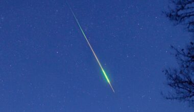 Asteroid or comet: A view of the sky with a bright greenish streak that is fatter near the bottom.