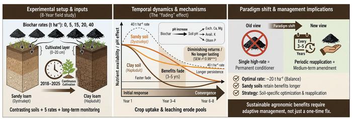 Biochar application rates regulate soil nutrient availability: evidence from an 8-year field study across two soilsCredit Jiuquan Zhang, Caibin Li, Minggang Xu, Jianxin Dong, Shuai Wang, Pengzhi Li & Heqing Cai