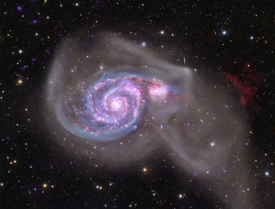 This is a composite image of the galaxy M51 combining data from NASA's Chandra X-ray Observatory (purple) with optical data (red, green and blue) taken with ground-based telescopes by a team of astrophotographers.