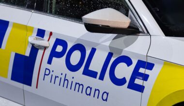 Motorway crash near Dunedin causes delays as crews free injured driver