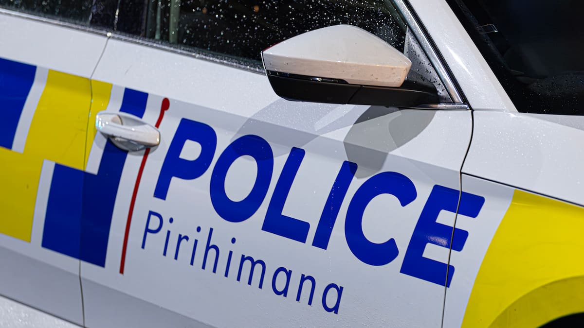 Motorway crash near Dunedin causes delays as crews free injured driver