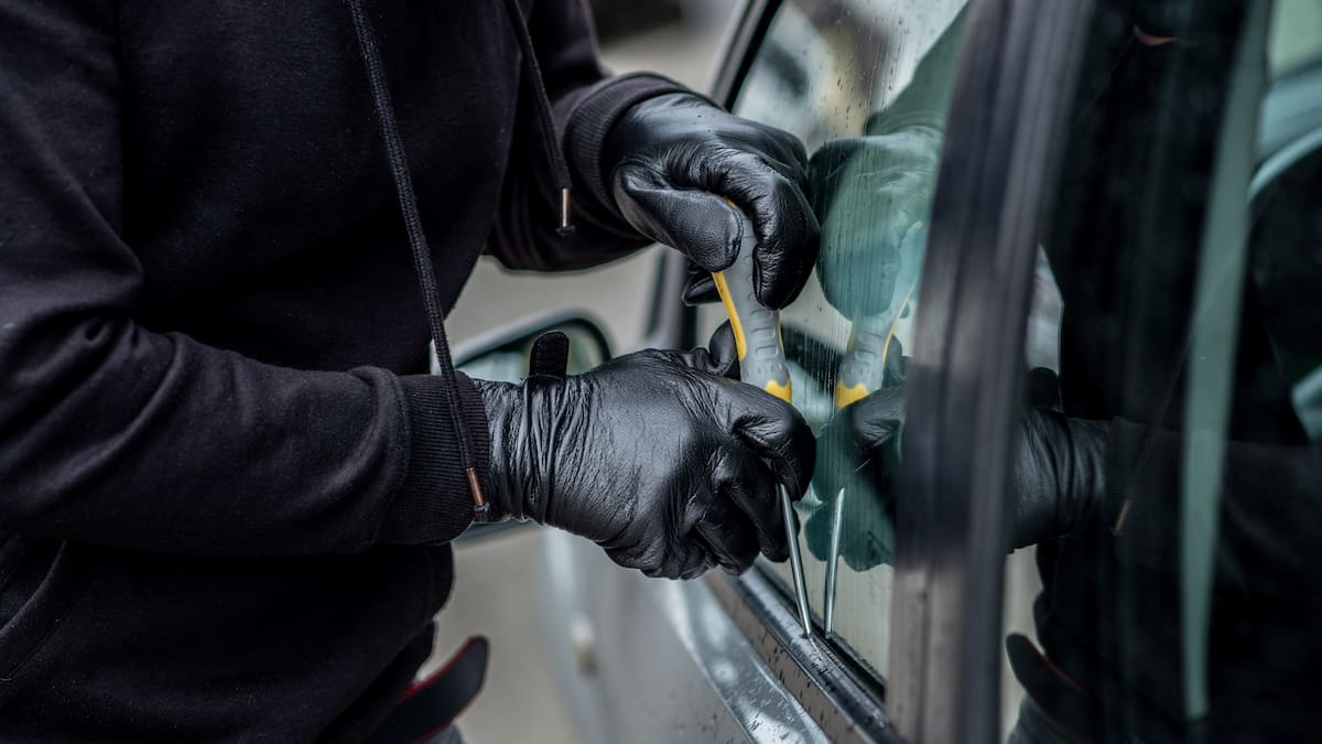 Mongreal Mob teens arrested for stealing 35 vehicles in Tūrangi