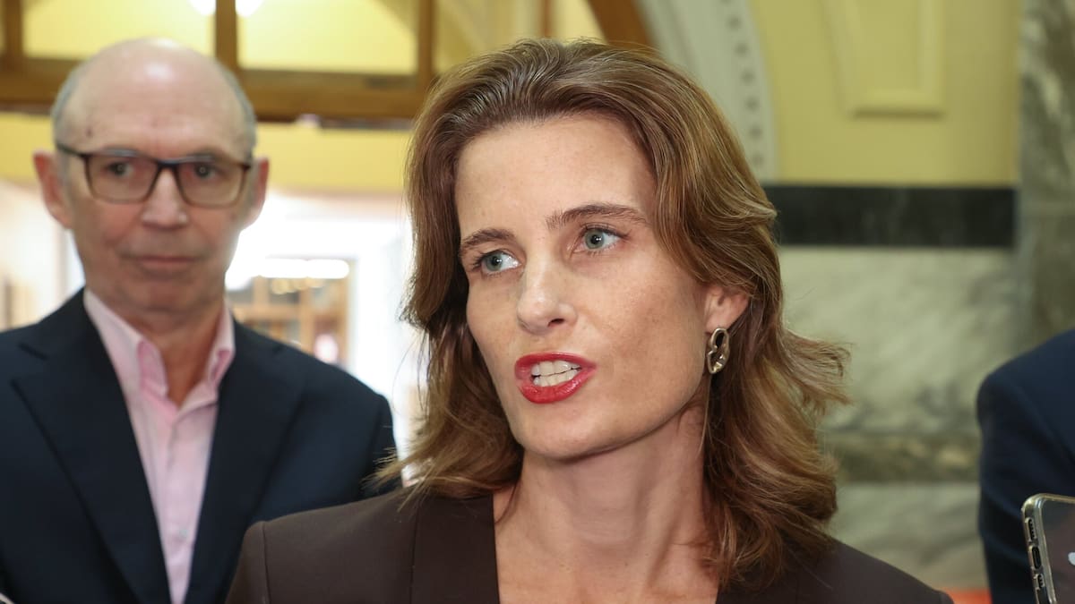 Finance Minister Nicola Willis holds press conference at Parliament on state of the economy