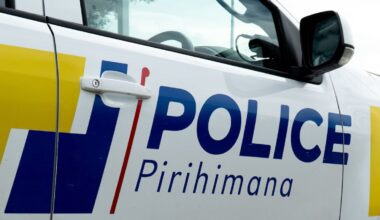 Scientist hailed after using judo training to thwart woman’s attack on worker in Auckland