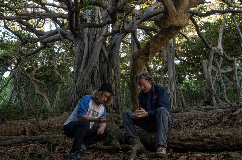 Maxim Adams and Nicholas Carlile Under a Banyan Tree