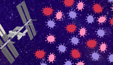 How Does Microgravity Impact Microbial Melanin Biosynthesis?