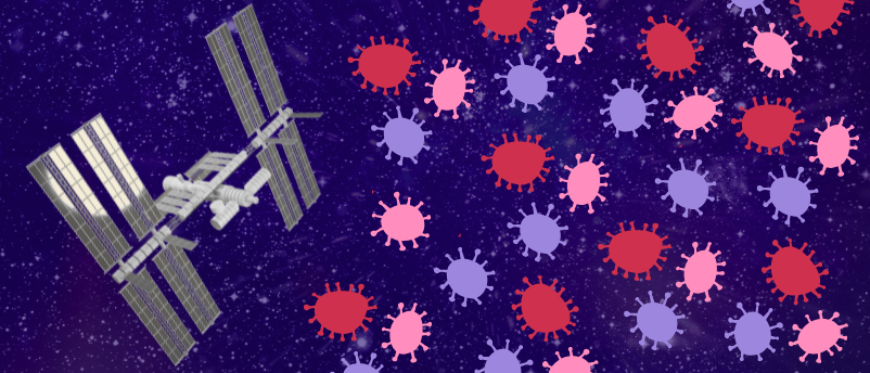 How Does Microgravity Impact Microbial Melanin Biosynthesis?