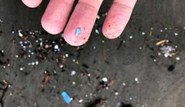 Microplastic debris along a beach. (AP Photo/Andrew Selsky)