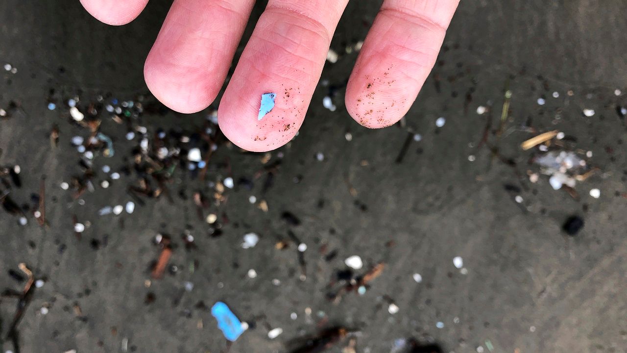 Microplastic debris along a beach. (AP Photo/Andrew Selsky)