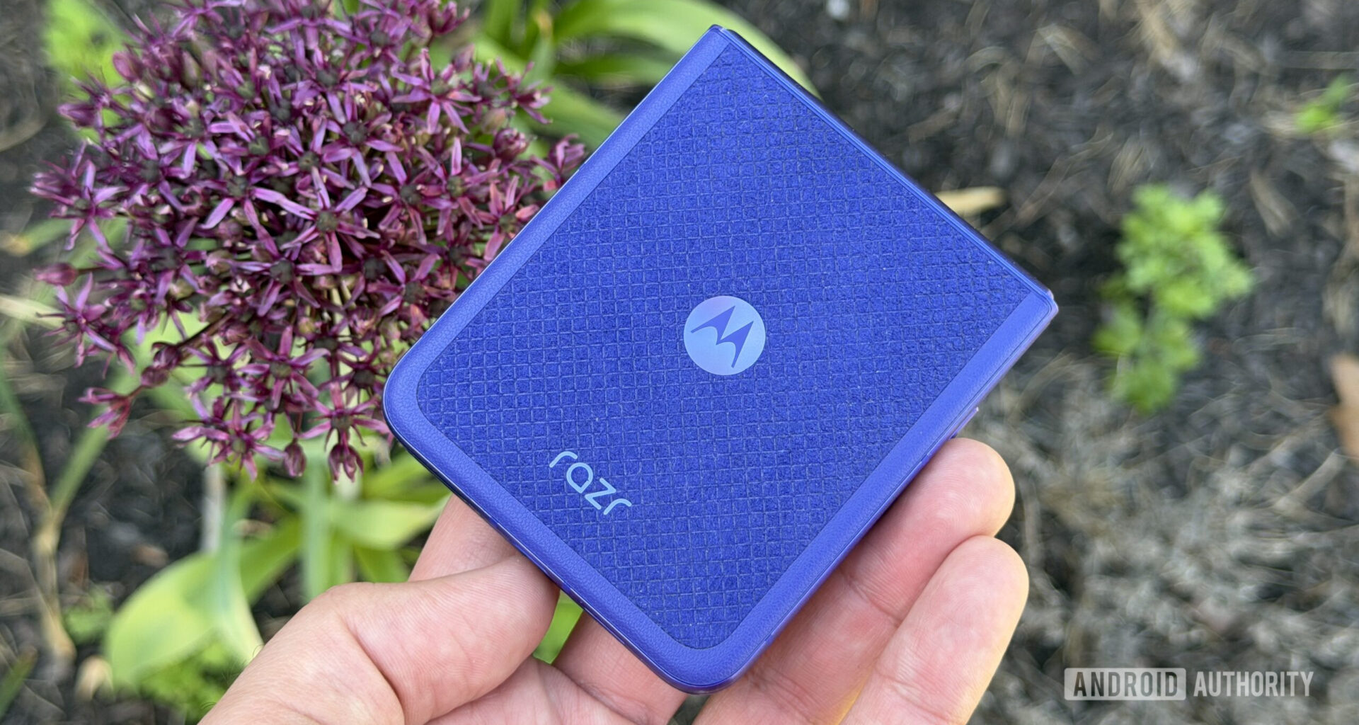 Motorola Razr Ultra 2026 purple flower