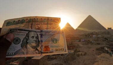 Egypt’s currency becomes world’s best performer as oil prices collapse and investors confidence return
