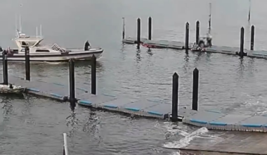 Auckland police use axe to save trapped driver from sinking car at Ōkahu Bay