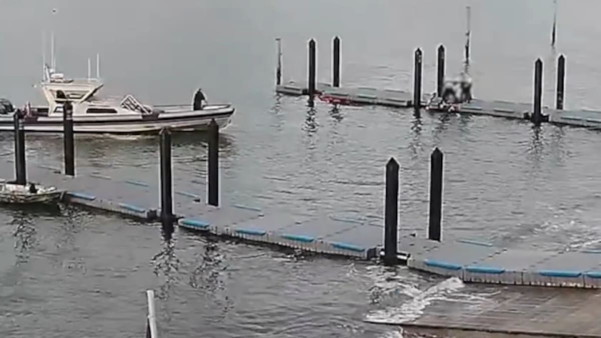 Auckland police use axe to save trapped driver from sinking car at Ōkahu Bay