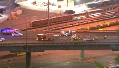 Lisale Foaese, driver in double fatal Wellington motorway crash, had undiagnosed dementia