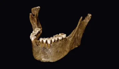 As humans evolved, changes in diet changed our tooth enamel at the nanoscale