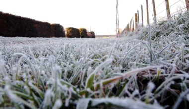 MetService warns of frosty weekend as temperatures plunge across New Zealand