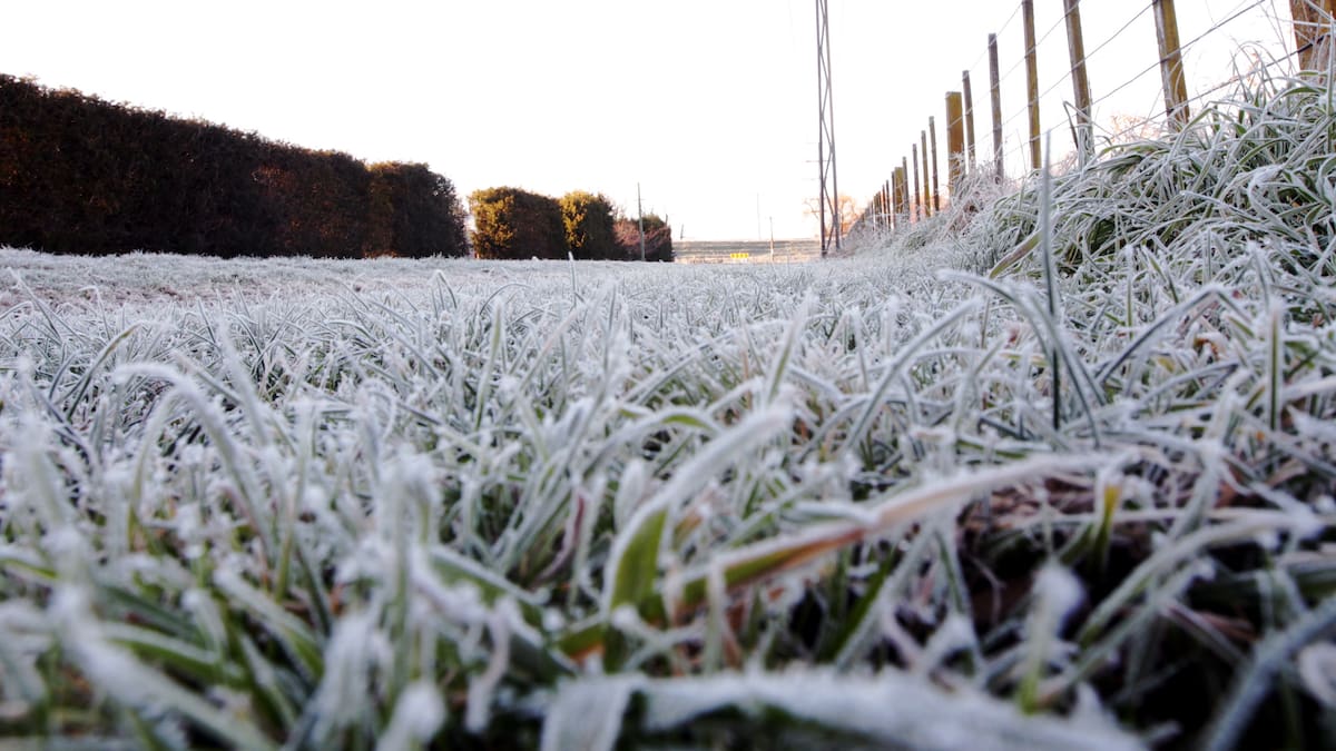MetService warns of frosty weekend as temperatures plunge across New Zealand