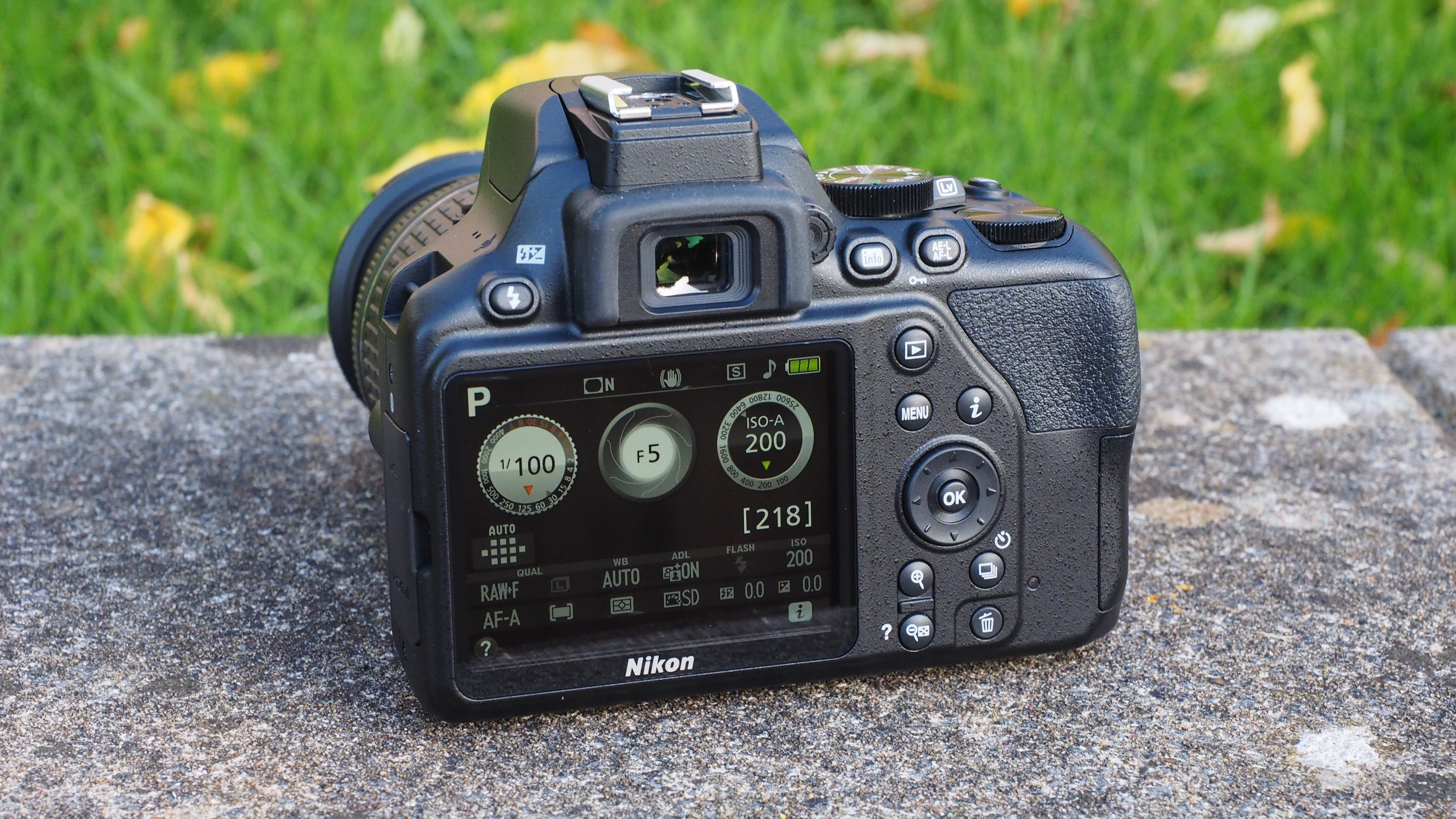 Back view of a Nikon D3500 DSLR camera showing its settings screen, placed on a stone surface with green grass in the background