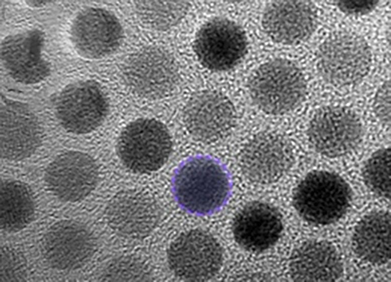 Nanoscale Building Blocks Stabilized Fleeting Structural Phase of Matter