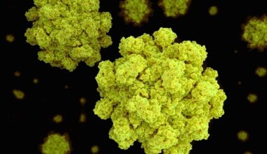 Yale study offers critical clues for future norovirus treatments