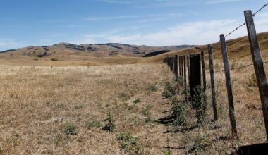 Waikato drought plan pushes ahead despite looming council reforms
