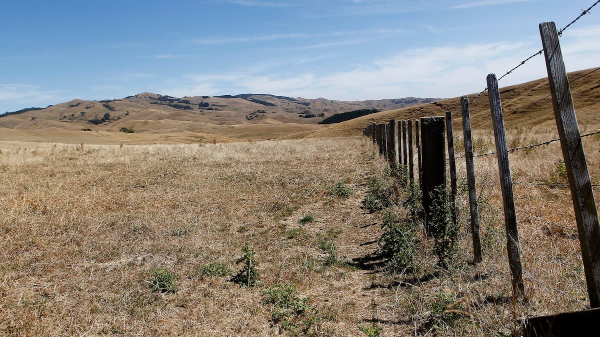 Waikato drought plan pushes ahead despite looming council reforms