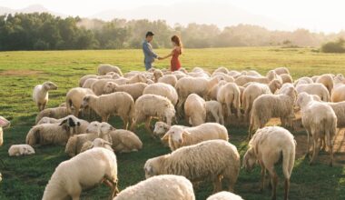 Howdy: Young farmers flock to new dating app seeking long-term connections