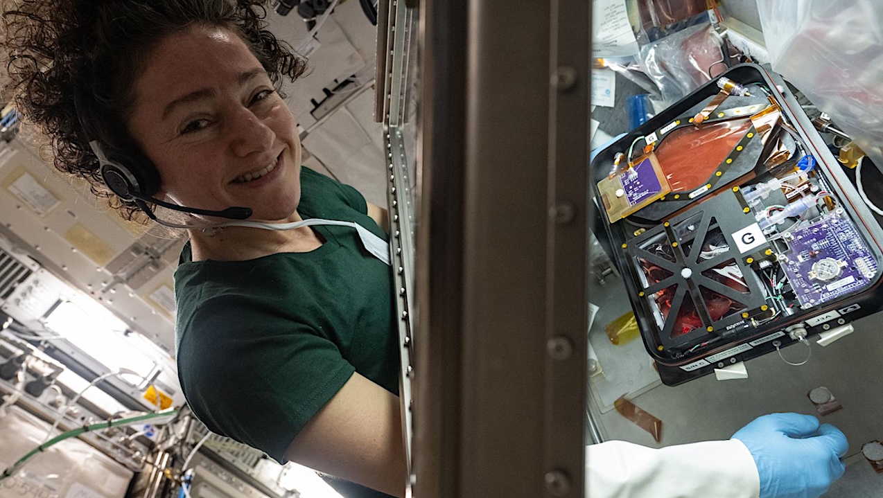 Offworld Space Biology: Setting Up The Life Science Glovebox