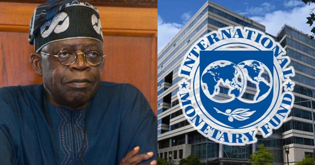 Nigeria ignores warnings from the IMF and goes ahead with its a $5 billion arrangement with the UAE