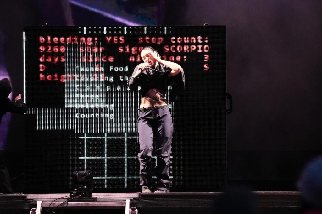 Lorde's Gov Ball 2026 Setlist Featured New Song & 'Girl, So Confusing'