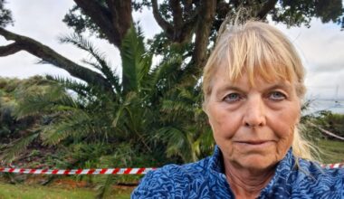 Whangārei council defends $34K tree removal amid erosion fears