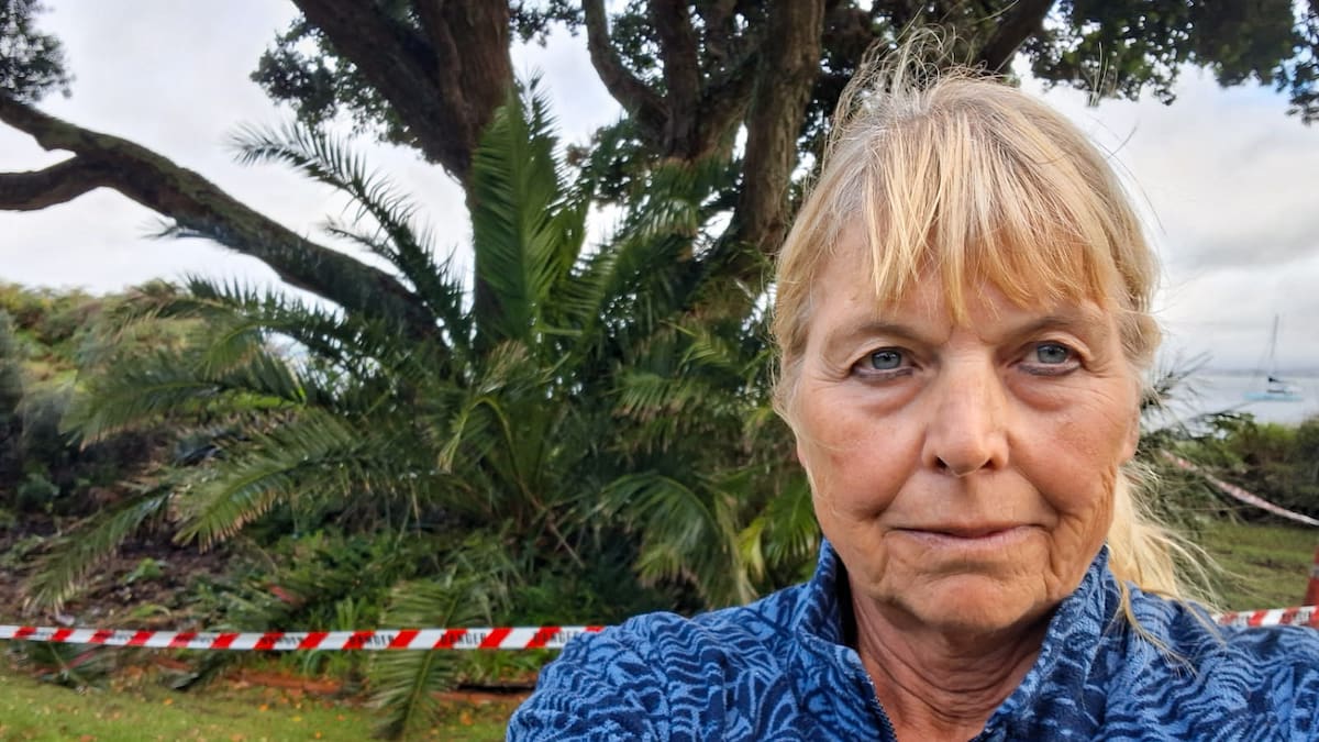 Whangārei council defends $34K tree removal amid erosion fears