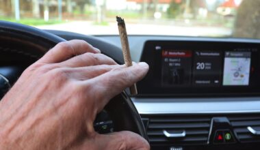 Home detention for Nelson driver who crashed while 20 times over ‘high-risk’ cannabis levels