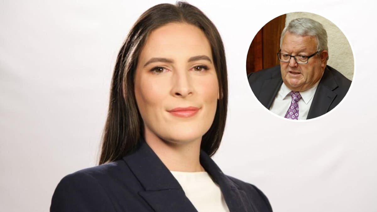 Media Insider: Stuff Digital press gallery journalists face possible temporary suspension from Parliament over photo of National MP Louise Upston